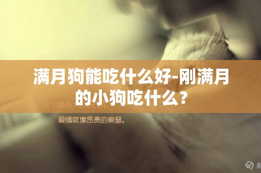 滿月狗能吃什么好-剛滿月的小狗吃什么？