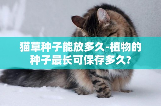 貓草種子能放多久-植物的種子最長可保存多久?