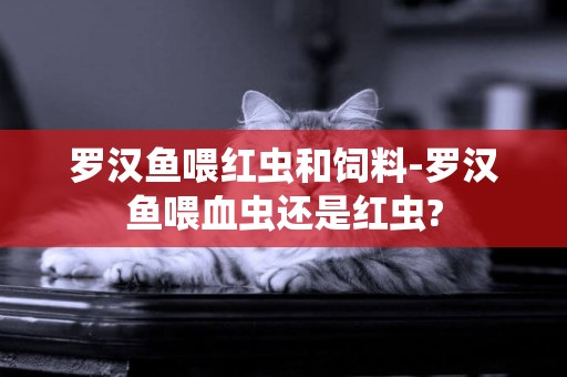羅漢魚喂紅蟲和飼料-羅漢魚喂血蟲還是紅蟲?