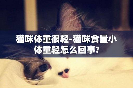 貓咪體重很輕-貓咪食量小體重輕怎么回事?