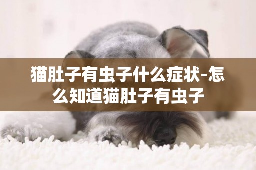 貓肚子有蟲子什么癥狀-怎么知道貓肚子有蟲子
