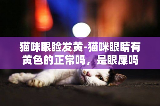貓咪眼瞼發黃-貓咪眼睛有黃色的正常嗎，是眼屎嗎