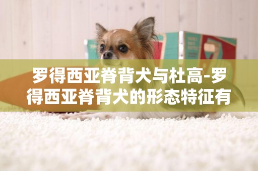 羅得西亞脊背犬與杜高-羅得西亞脊背犬的形態特征有哪些？