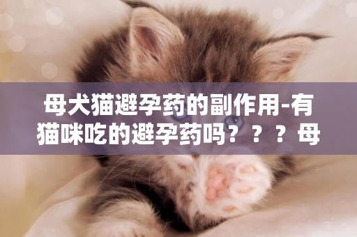 母犬貓避孕藥的副作用-有貓咪吃的避孕藥嗎？？？母貓長效避孕藥，貓用避孕藥有副作用嗎？？吃了能避孕嗎？