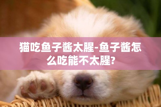貓吃魚子醬太腥-魚子醬怎么吃能不太腥?