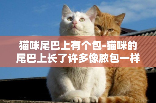 貓咪尾巴上有個包-貓咪的尾巴上長了許多像膿包一樣旳疙瘩該怎么治?