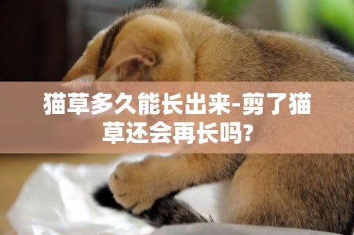 貓草多久能長出來-剪了貓草還會再長嗎?