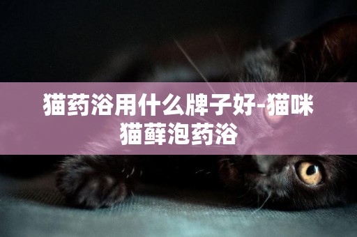 貓藥浴用什么牌子好-貓咪貓蘚泡藥浴