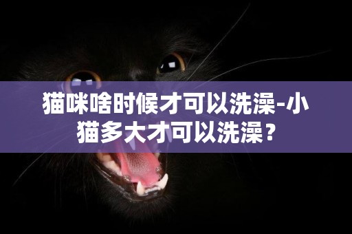 貓咪啥時候才可以洗澡-小貓多大才可以洗澡？