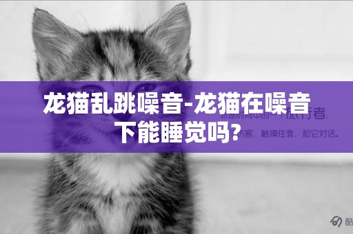 龍貓亂跳噪音-龍貓在噪音下能睡覺嗎?