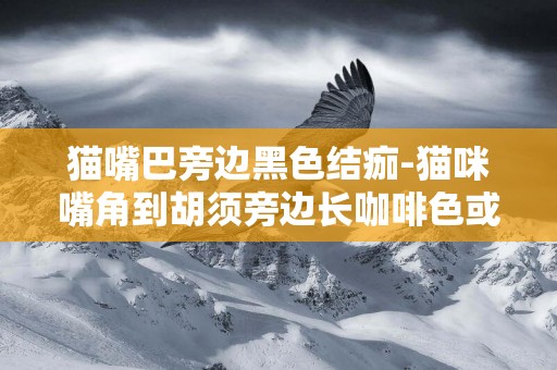 貓嘴巴旁邊黑色結痂-貓咪嘴角到胡須旁邊長咖啡色或黑色結痂，可以擦掉，是貓蘚還是毛囊炎？