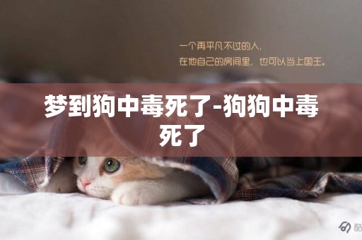 夢到狗中毒死了-狗狗中毒死了