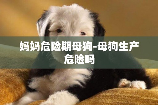 媽媽危險期母狗-母狗生產危險嗎