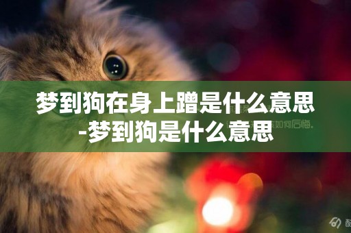 夢到狗在身上蹭是什么意思-夢到狗是什么意思
