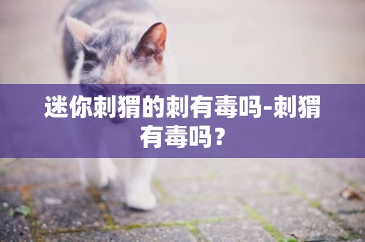 迷你刺猬的刺有毒嗎-刺猬有毒嗎？