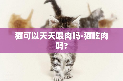 貓可以天天喂肉嗎-貓吃肉嗎?