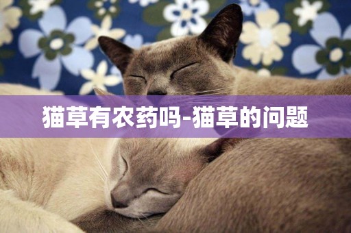 貓草有農藥嗎-貓草的問題