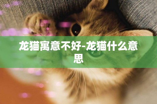 龍貓寓意不好-龍貓什么意思