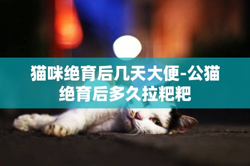 貓咪絕育后幾天大便-公貓絕育后多久拉粑粑