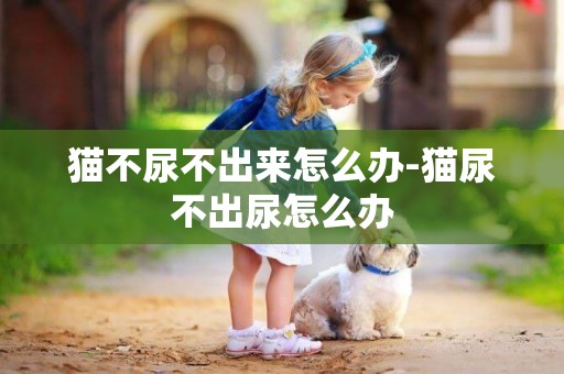 貓不尿不出來怎么辦-貓尿不出尿怎么辦