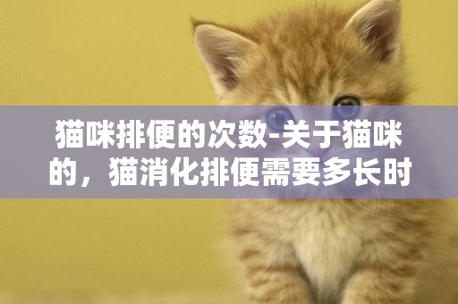 貓咪排便的次數-關于貓咪的，貓消化排便需要多長時間，貓多長時間大便一次，一天幾次是正常的？？？？
