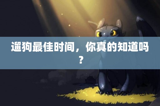 遛狗最佳時間，你真的知道嗎？