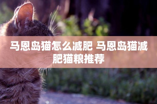 馬恩島貓怎么減肥 馬恩島貓減肥貓糧推薦