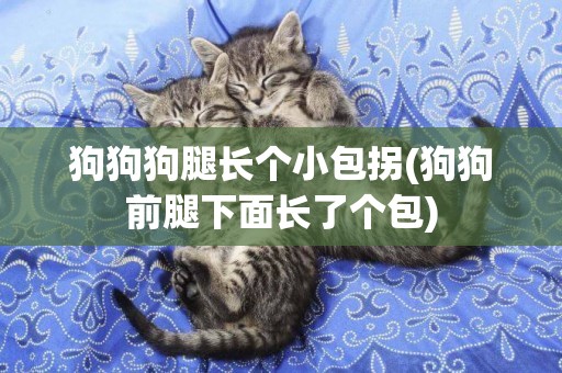 狗狗狗腿長個小包拐(狗狗前腿下面長了個包)