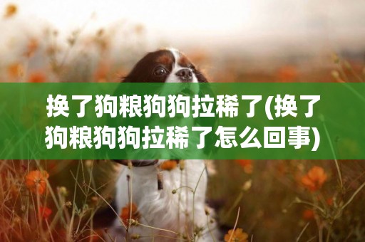 換了狗糧狗狗拉稀了(換了狗糧狗狗拉稀了怎么回事)