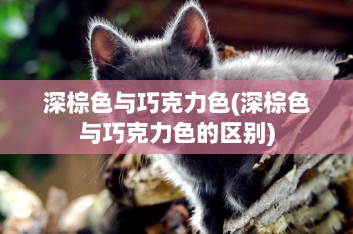 深棕色與巧克力色(深棕色與巧克力色的區別)