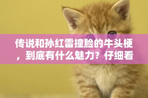 傳說和孫紅雷撞臉的牛頭梗，到底有什么魅力？仔細看還真有點萌 