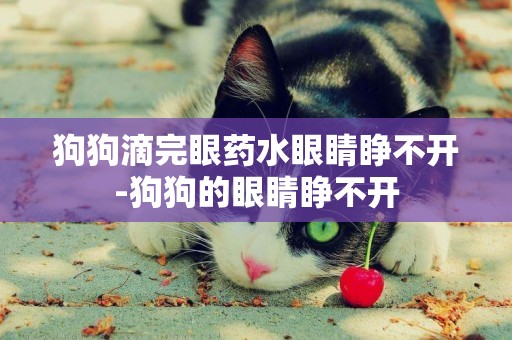 狗狗滴完眼藥水眼睛睜不開-狗狗的眼睛睜不開