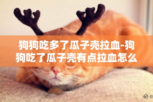 狗狗吃多了瓜子殼拉血-狗狗吃了瓜子殼有點拉血怎么辦