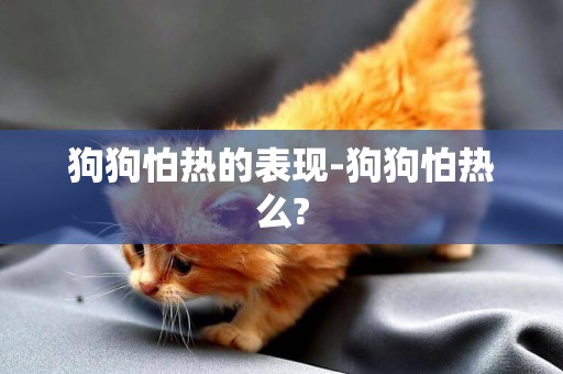 狗狗怕熱的表現-狗狗怕熱么?