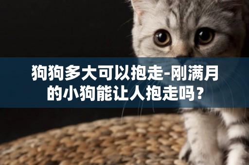狗狗多大可以抱走-剛滿月的小狗能讓人抱走嗎？