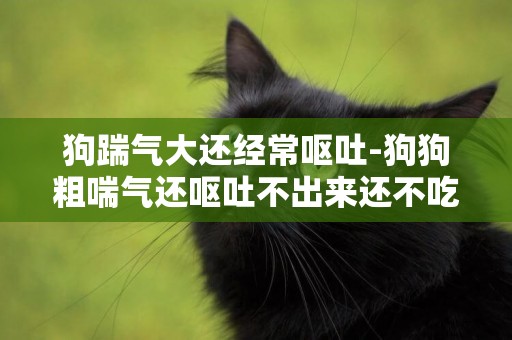 狗踹氣大還經常嘔吐-狗狗粗喘氣還嘔吐不出來還不吃東西