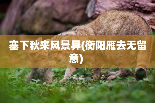 塞下秋來風景異(衡陽雁去無留意) 