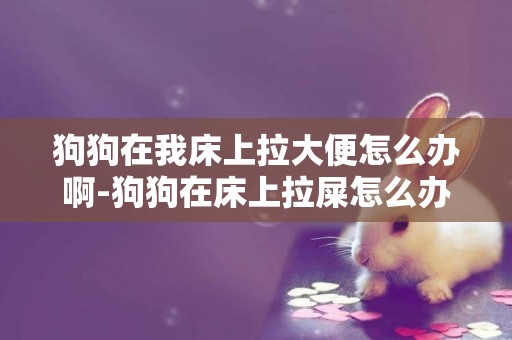 狗狗在我床上拉大便怎么辦啊-狗狗在床上拉屎怎么辦