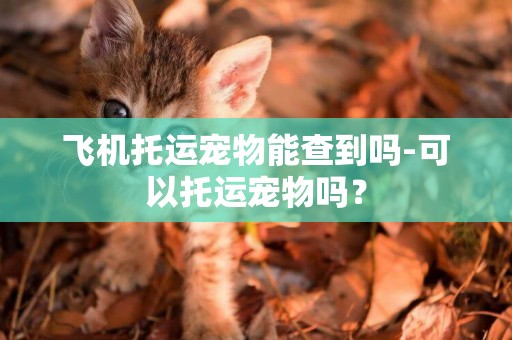 飛機托運寵物能查到嗎-可以托運寵物嗎？