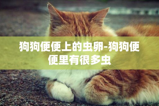 狗狗便便上的蟲卵-狗狗便便里有很多蟲