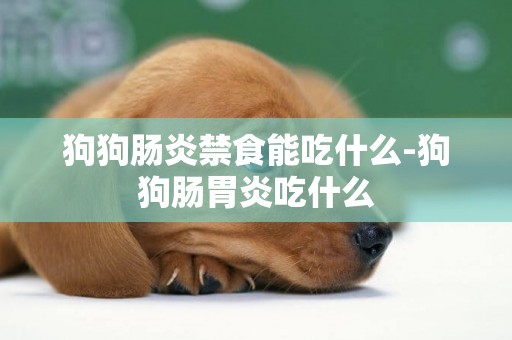 狗狗腸炎禁食能吃什么-狗狗腸胃炎吃什么