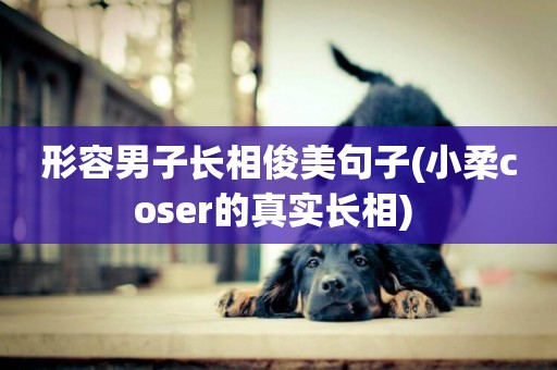 形容男子長相俊美句子(小柔coser的真實長相) 