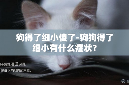 狗得了細小傻了-狗狗得了細小有什么癥狀？