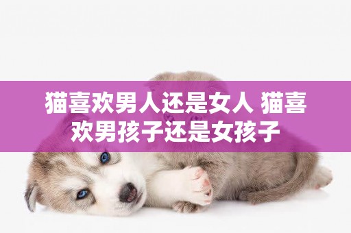 貓喜歡男人還是女人 貓喜歡男孩子還是女孩子