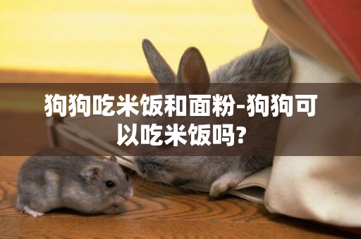 狗狗吃米飯和面粉-狗狗可以吃米飯嗎?