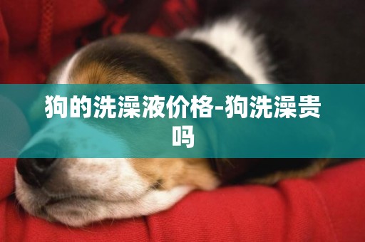 狗的洗澡液價格-狗洗澡貴嗎