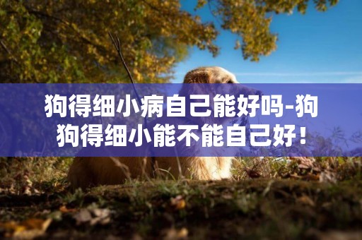 狗得細小病自己能好嗎-狗狗得細小能不能自己好！