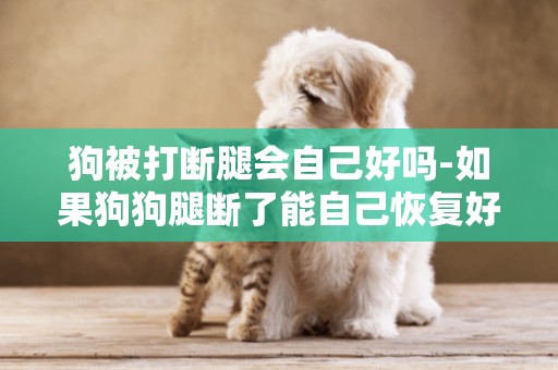 狗被打斷腿會自己好嗎-如果狗狗腿斷了能自己恢復好嗎？