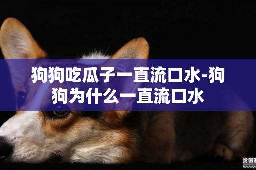 狗狗吃瓜子一直流口水-狗狗為什么一直流口水