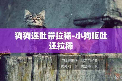 狗狗連吐帶拉稀-小狗嘔吐還拉稀